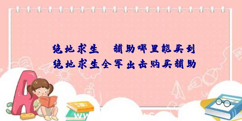 「绝地求生pc辅助哪里能买到」|绝地求生全军出击购买辅助